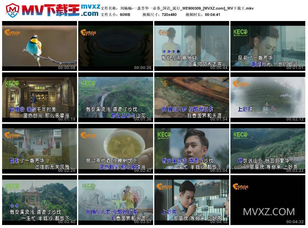 刘楠楠-一盏芳华一壶茶_国语_流行_ME900309